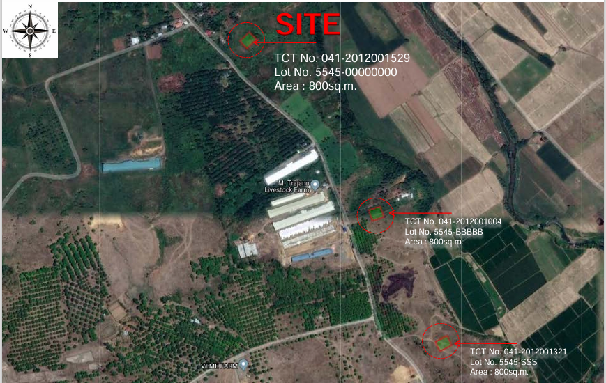 Slide 1
